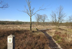 Sallandse Heuvelrug
